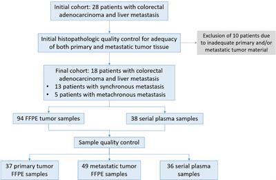 Proof-of-Concept Pilot Study on Comprehensive Spatiotemporal Intra-Patient Heterogeneity for Colorectal Cancer With Liver Metastasis